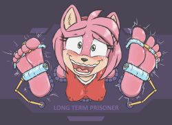 1girls amy_rose anthro caroo clothed eulipotyphlan feet female female_only femsub hedgehog long_term_bondage mammal nipple_bulge prisoner solo solo_female sonic_(series) stuck_in_wall tickle_torture tickling tickling_feet tickling_machine