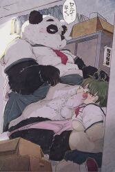 anthro balls belly clothed clothing crossdressing detailed_background dumdum duo erection eyewear genitals giant_panda glasses human human_on_anthro humanoid_genitalia humanoid_hands humanoid_penis inside interspecies japanese_text kemono male male/male mammal overweight overweight_male penis text ursid