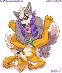 2boys anthro bashbl-ux canid canine canis countershading duo fox fox_mccloud gay hi_res male male/male mammal nintendo star_fox text url video_games white_background wolf wolf_o'donnell