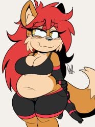 melina the fox from sega by darkwolfhybrid