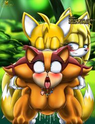 sticks the badger from sega by foxiumart