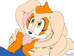 amber_eyes anthro aval0nx babysitting_cream cream_the_rabbit earjob erection female hedgehog lagomorph licking male nude oral oral_sex penis precum rabbit sega sex smile sonic_(series) sonic_the_hedgehog tongue young