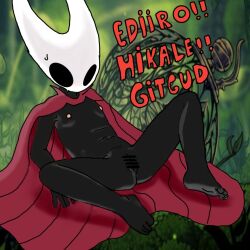Hornet (Hollow Knight) Rule 34 Image