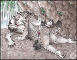 anthro canine canine_penis cave couple dire_wolf female friends friendship fur furry knot love male penis sabretoothed_ermine sex straight waterfall wolf