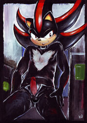 1boy battle_angel collar male male_only mobian pants_pull penis shadow_the_hedgehog solo sonic_(series) topless