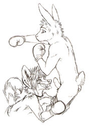 anthro boxing boxing_gloves fur furry gay hyena lagomorph male pants_pull penis piercing rabbit speed_(artist) topless uhoh