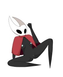 blue_genitals bug bug_girl cloak cloak_only female female_focus female_only hornet_(hollow_knight) slurmberry