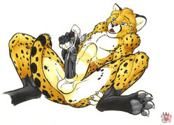 1boy anthro balls barbs cheetah cum feline fur furry hindpaw male male_only penis sheath sitting solo spread_legs spreading tyelle_niko tyelleniko