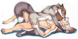 anthro breasts canine couple dianis female folf fur furry licking linsey_huish male multi_nipple sex sideboob sidian sidian_silverhawk straight tattoo tongue transformation werewolf