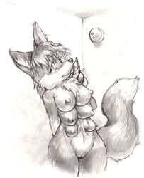 anthro breasts canine chest_tuft female fox fur furry_ears furry_tail multi_breast nude nullenigma pussy solo tail