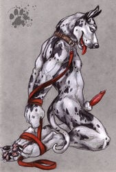 anthro blackteagan blotch bondage canine canine_penis collaboration collar colored_background cum fur furry great_dane hindpaw leash male male_only penis solo tess_garman