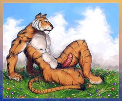 1boy anthro azaghal dasaod feline fur furry male male_only muscles nude penis solo tiger