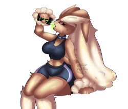 anthro commission furry lopunny pokemon pokemon_(species) yurbiv