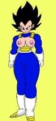 dragon_ball dragon_ball_z female_saiyan female_vegeta iceboy128 rule_63 saiyan vegeta