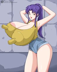 misato katsuragi from neon genesis evangelion by toshiso