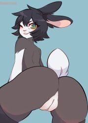 anthro anus ass black_clothing black_hair black_legwear black_thigh_highs blush clothing colored digital_media_(artwork) female fur genitals green_eyes grey_body grey_fur hair hi_res lagomorph legwear legwear_only leporid looking_at_viewer mammal mostly_nude nat_(vesperinox) one_eye_closed portrait pussy rabbit rear_view short_hair simple_background smile solo standing thigh_highs three-quarter_portrait vesperinox white_body white_fur wink