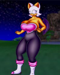 rouge the bat from sega by smotrilla