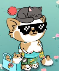 admirable_leopard230 cat cat_face corgi domestic_dog edit edited_screencap furry nft reddit reddit_moment shopping_bag simple_background slippers sunglasses tagme