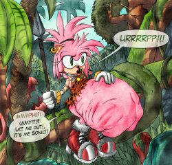 after_vore amy_rose anthro belly big_belly burping clothing dialogue duo female female_pred hi_res jungle killboo male male/female oral_vore same_size_vore sega sonic_(series) sonic_the_hedgehog sonic_the_hedgehog_(series) speech_bubble stomach_bulge vore