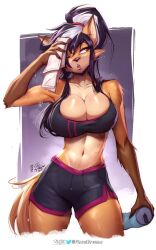 anthro big_breasts breasts clothed_female clothes elizabeth_fox exercise female fox furry gym_clothes gym_shorts red_eyes sweat tagme viejillox vulpine