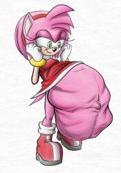 after_vore amy_rose anthro belly big_belly clothing dress duo female female_pred killboo male same_size_vore sega sonic_(series) sonic_the_hedgehog_(series) stomach_bulge vore