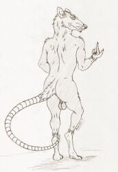 anthro ass backsack balls eyegis-garr genitals gesture hi_res line_art long_tail looking_at_viewer looking_back looking_back_at_viewer male mammal murid murine pointing rat rat_tail rear_view rodent shaded simple_shading solo