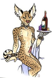 1boy amara_telgemeier animal_penis anthro armband big_ear body_fur cheese collar cuffs ear_piercing earring erection feline grapes male male_nipples male_only nude_male oce penis penis_piercing piercing prince_albert_piercing serval sheath sitting smile smooth_fur smooth_penis solo tail wine wrist_cuff