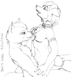 anthro breasts canine couple david_siegl female fondling fox fox_mccloud fur krystal lotus_position love male moan romantic sex sketch star_fox straight umami_sutra video_games