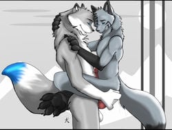 anthro canine cum cum_inside fur furry gay husky male nude penis straydog zetafox