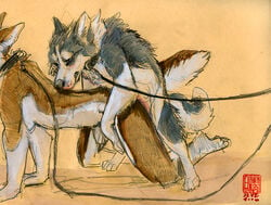 allison_reed animal anthro bestiality bondage canine female feral husky interspecies java leash male sarain sex straight zoophilia