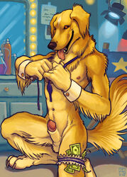 1boy amara_telgemeier anthro canine fur furry garter male male_only money nude penis sheath solo stripper