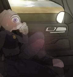 1futa animated anthro big_penis blinking bulge clothing disney erection erection_under_clothes fully_clothed furry futa_only futanari huge_cock in_car judy_hopps lagomorph looking_at_viewer loop no_sound penis police_uniform purple_eyes rabbit raburesu_ shorter_than_10_seconds shorter_than_30_seconds side_view solo solo_futa sweat sweating tagme throbbing_penis video wide_eyed zootopia