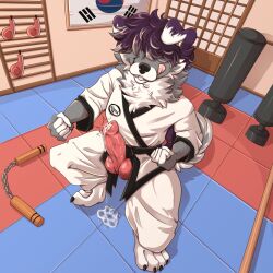 animal_genitalia animal_penis anthro barefoot belt black_belt bodily_fluids canid canine canine_genitalia canine_penis covering covering_eyes covering_face cum curled_tail erection feet fighting_pose genital_fluids genitals karate keikogi male mammal martial_arts martial_arts_uniform melee_weapon miizuui nunchaku penis pose solo sportswear staff taekwondo tail toes tongue training weapon