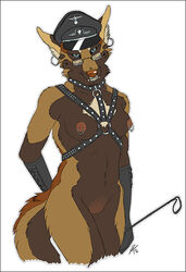 anthro bondage canine female fur furry glasses leather nude piercing solo star_(artist) whip