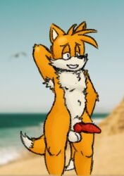 1boy animal_genitalia animal_penis anthro armpit_hair armpit_tuft balls beach blurred_background body_hair bulge canid canine canine_penis chest_tuft clothing fox front_view genitals hands_behind_back male male_only mammal nipples penis seaside sega sheath solo sonic_(series) sonic_the_hedgehog_(series) tails throudwire tuft