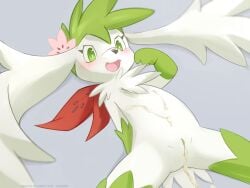 after_sex ancesra anthro blush bodily_fluids cum cum_in_pussy cum_inside female fur generation_4_pokemon genital_fluids genitals hi_res legendary_pokemon lying nintendo nude on_back pokemon pokemon_(species) pussy shaymin sky_forme_shaymin solo video_games white_body white_fur