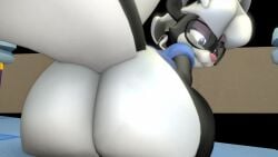 3d animated big_ass fart farting_in_face fetishtrash full_of_gas furry mp4 pov rumbling_stomach sabrina_(sabrina_online) sabrina_online skunk skunk_girl sound stomach_gurgle stomach_noises tagme video voluptuous