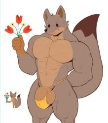 abs anthro barely_visible_genitalia blush blush_lines bottomwear_only brown_body brown_fur canid canine clothing doggonut facebook facebook_fox facebook_foxes facebook_stickers flower fox fur genitals male male_focus male_only mammal muscular muscular_male no_humans pecs plant solo tagme thisishomo thong underwear yellow_clothing