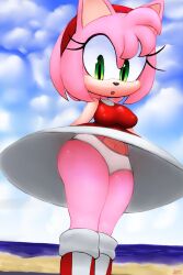 aerosin amy_rose dress eulipotyphlan hedgehog mammal panties pink_fur pink_hair sonic_(series) surprised