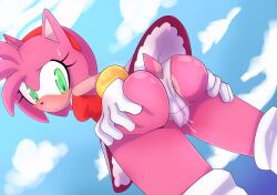 amy_rose cameltoe eulipotyphlan female hedgehog horny leaking_pussy mammal pantyshot pantyshot_(standing) pink_fur pink_hair saltorii sega sonic_(series) sonic_the_hedgehog_(series) upskirt wet_panties