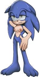 anthro breasts furry nipples pussy r18 rule_63 sonic_(series) sonic_the_hedgehog sonic_the_hedgehog_(series) sonique_the_hedgehog vagina