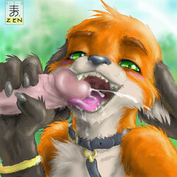 2boys canine collar cum fox fur furry_ears furry_tail gaping_maw gay male male_only oekaki open_mouth oral tail zen