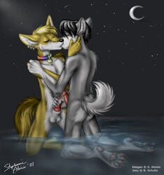 anthro balls canine collar color fox fur furry furry_only gay grey_fur kissing male male_only masturbation moon night no_humans nude penis rainbow romantic stars stephanie_aloisio water wolf yaoi yellow