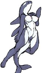 anthro breasts cetacean female marine mutabouru navel nipples oekaki orca pinup pussy solo swimming voluptuous wide_hips