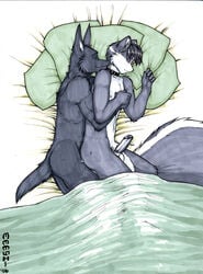 2006 anal anal_sex anthro bed canine collar cum cum_inside fur furry furry_only gay gothicskunk half_covered male male/male male_only meesh nude penetration penis sheath skunk traditional_media_(artwork) yaoi