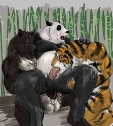 anal anal_sex anthro canine feline fur furry furry_only gay male no_humans oral panda penetration rwolf threesome tiger wolf