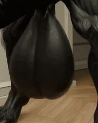 10s animated animation anthro anthro_only balls big_balls big_penis black_body black_fur black_skin bovid caprine cassius_lewandowskiago cassthegoat furry furry_only gif goat hanging_balls heavy_balls huge_balls hyper hyper_balls hyper_penis male male_only massive_balls poney shorter_than_30_seconds solo solo_anthro solo_male tagme thick_penis