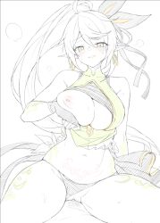 anemos_(elsword) clothed_sex elf elf_ears elf_female elsword large_breasts rena_(elsword) rena_erindel sketch uncensored waero