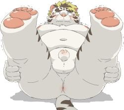 2022 anthro anus ass balls belly blush felid fur furry furry_only genitals hi_res humanoid_hands kemono licho_(tokyo_afterschool_summoners) lifewonders male male_only mammal moobs navel nipples nude overweight overweight_male pantherine penis ptcmtr small_penis solo tail tiger tokyo_afterschool_summoners video_games white_body