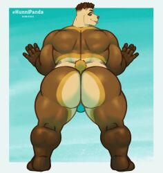 1boy animated anthro ass ass_focus back_view bara bara_ass behind_view big_ass big_ass_(male) big_butt blinking blue_background blue_eyes brown_fur bubble_ass bubble_butt butt butt_focus dat_ass fat_ass fat_butt furry furry_only gradient_background gyrating huge_ass huge_butt hunni_(hunnipanda) hunnipanda jiggling_ass jiggling_butt loop male male_only mp4 multicolored_fur muscular muscular_male no_sound original_character plump_ass plump_butt round_ass round_butt shaking_ass shaking_butt superchub tagme thick_ass thong tongue_out video